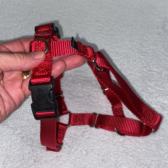 PetSafe Sure-Fit Adjustable Back Clip Dog Harness - Picture 4 of 9